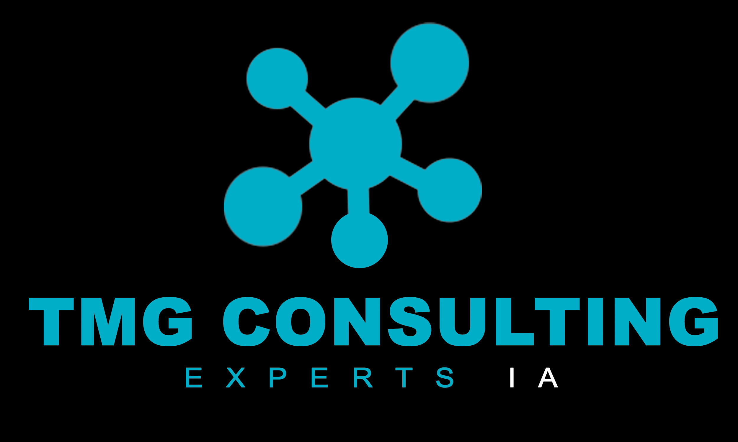 TMG Consulting – Experts IA